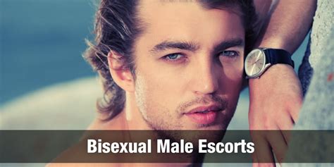 Male Escorts & Gay Escorts in Cork